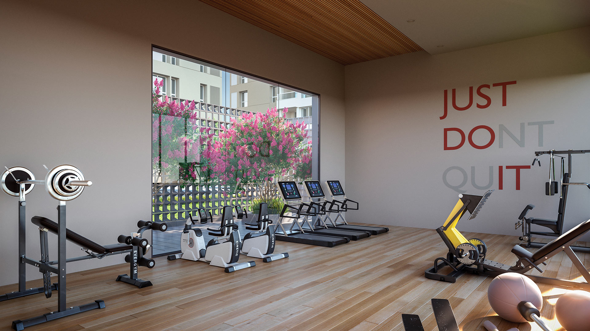 KinHealth - Trattamenti